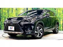 2019 Lexus NX