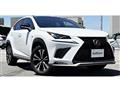 2019 Lexus NX