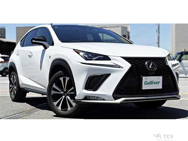 2019 Lexus NX