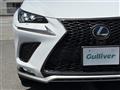 2019 Lexus NX