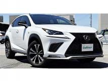 2019 Lexus NX