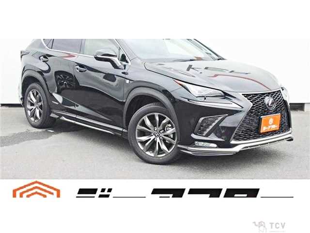 2019 Lexus NX