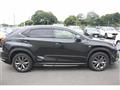 2019 Lexus NX