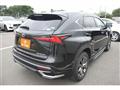 2019 Lexus NX