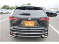 2019 Lexus NX