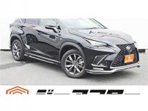 2019 Lexus NX