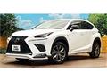 2019 Lexus NX