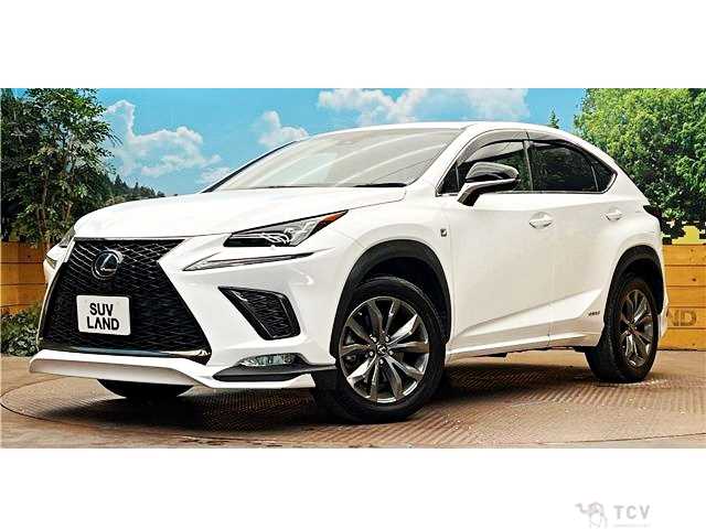 2019 Lexus NX