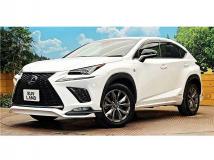 2019 Lexus NX