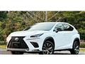 2019 Lexus NX