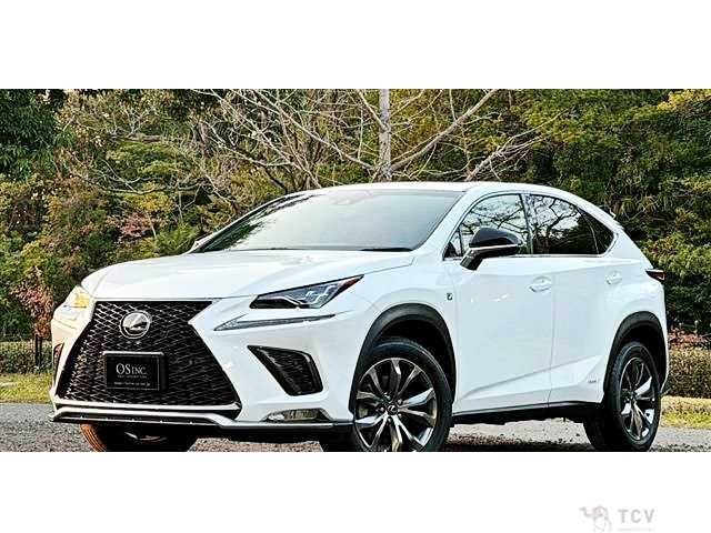 2019 Lexus NX