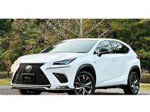 2019 Lexus NX
