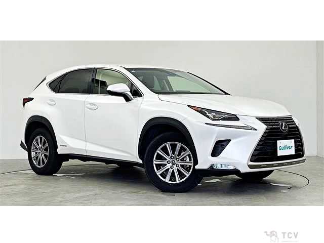 2019 Lexus NX