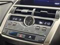 2019 Lexus NX