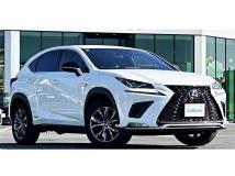 2019 Lexus NX