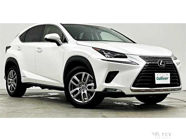 2019 Lexus NX