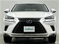 2019 Lexus NX