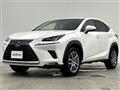 2019 Lexus NX