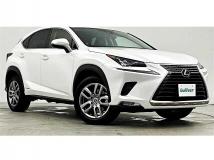 2019 Lexus NX