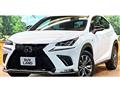 2019 Lexus NX