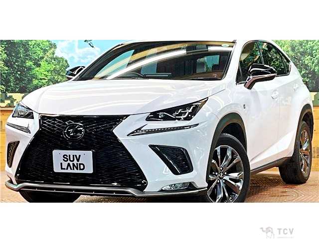 2019 Lexus NX
