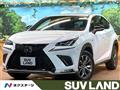 2019 Lexus NX