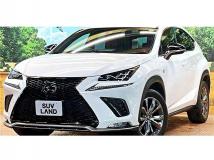 2019 Lexus NX