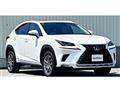 2019 Lexus NX
