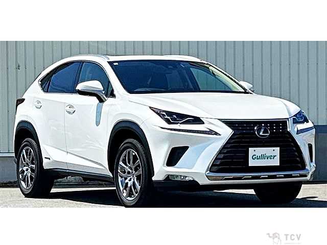 2019 Lexus NX