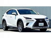 2019 Lexus NX