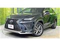 2019 Lexus NX