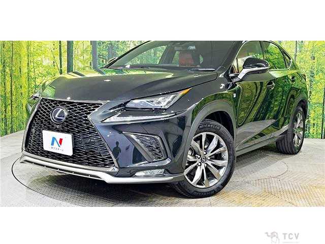 2019 Lexus NX