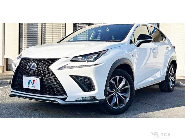 2019 Lexus NX