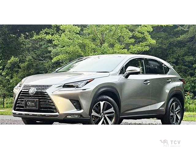 2019 Lexus NX