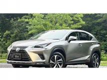 2019 Lexus NX