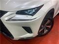2019 Lexus NX