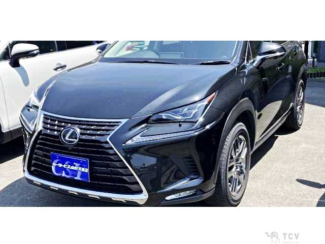 2019 Lexus NX