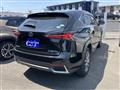 2019 Lexus NX
