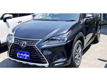 2019 Lexus NX