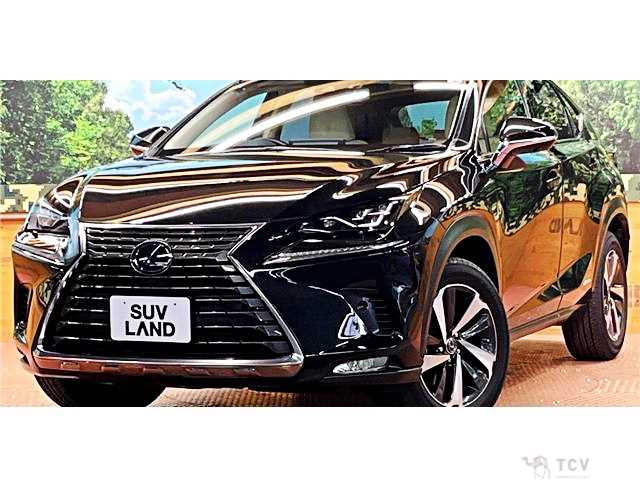 2019 Lexus NX