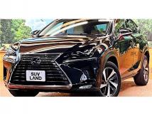 2019 Lexus NX