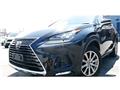 2019 Lexus NX
