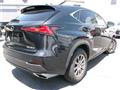 2019 Lexus NX