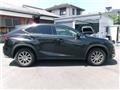 2019 Lexus NX