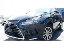 2019 Lexus NX
