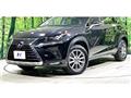 2019 Lexus NX