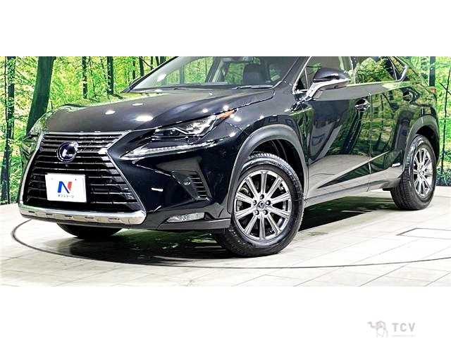 2019 Lexus NX