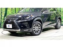 2019 Lexus NX