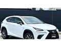 2019 Lexus NX