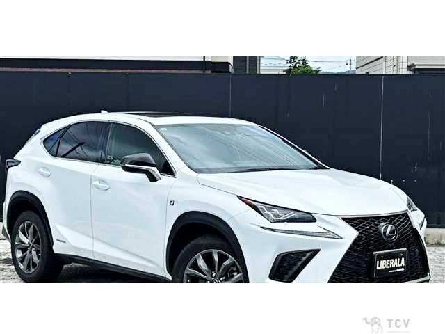 2019 Lexus NX
